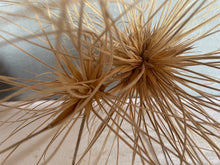 Load image into Gallery viewer, Blank Cards - Single