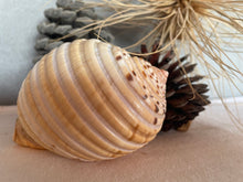 Load image into Gallery viewer, Blank Cards - Sets