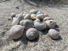 Load image into Gallery viewer, Blank Cards - Single