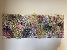 Load image into Gallery viewer, Dried Hydrangea window frames