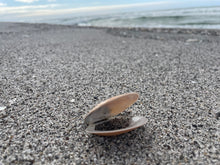 Load image into Gallery viewer, Blank Cards - Sets