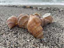 Load image into Gallery viewer, Blank Cards - Sets