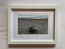 Load image into Gallery viewer, Postcard Print - Single shell