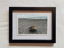 Load image into Gallery viewer, Postcard Print - Single shell
