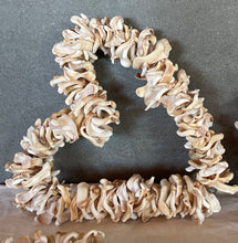 Load image into Gallery viewer, Shell Hearts