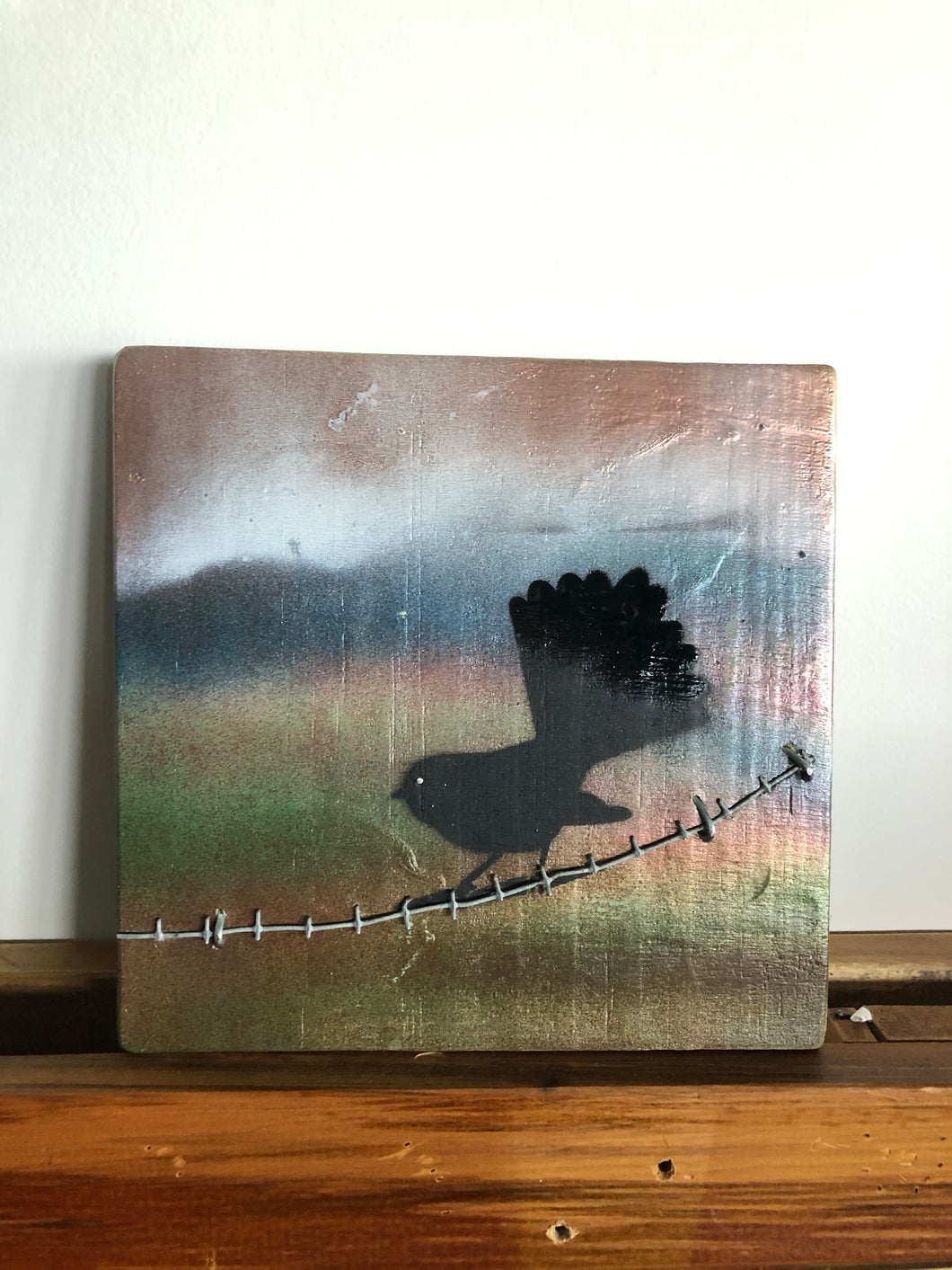 Piwakawaka - (Fantails)