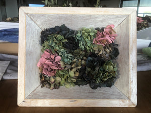Framed Dried Hydrangeas