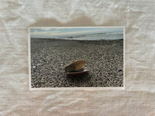 Load image into Gallery viewer, Postcard Print - Single shell
