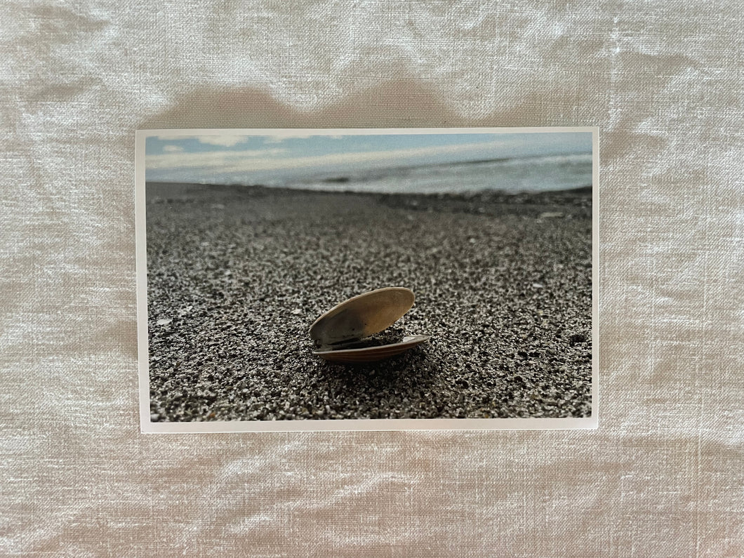 Postcard Print - Single shell