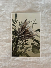 Load image into Gallery viewer, Postcard print - Protea
