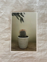 Load image into Gallery viewer, Postcard print - baby cactus
