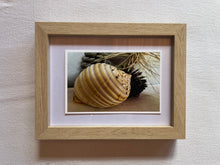 Load image into Gallery viewer, Postcard Print - beach finds
