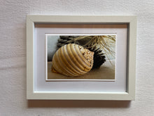 Load image into Gallery viewer, Postcard Print - beach finds

