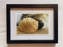 Load image into Gallery viewer, Postcard Print - beach finds
