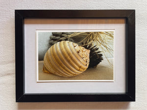 Postcard Print - beach finds