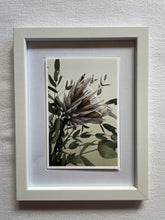 Load image into Gallery viewer, Postcard print - Protea
