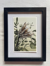Load image into Gallery viewer, Postcard print - Protea
