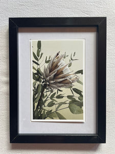 Postcard print - Protea