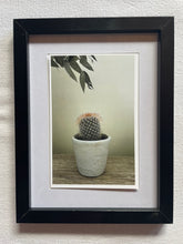 Load image into Gallery viewer, Postcard print - baby cactus
