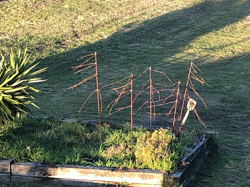 Rusty Lancewood Sculptures