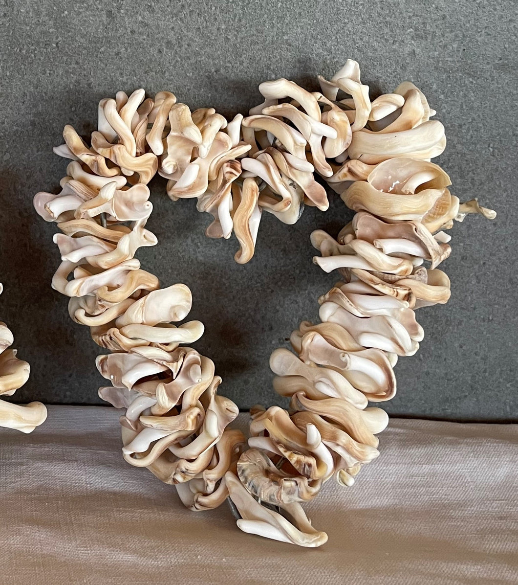 Shell Hearts